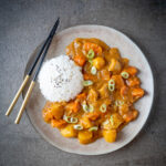 Karē, Japanse curry met kip