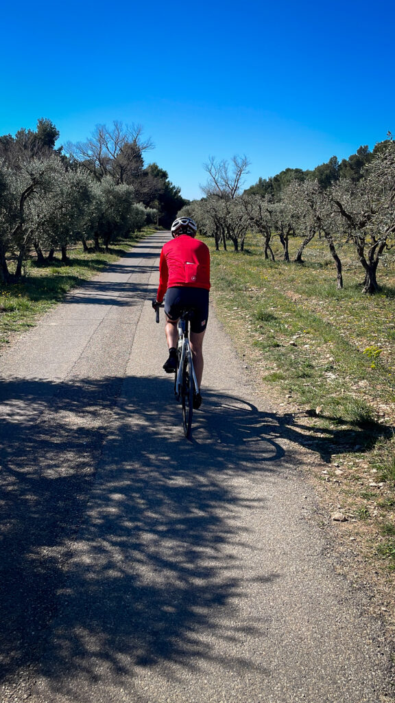 Les Alpilles Reli