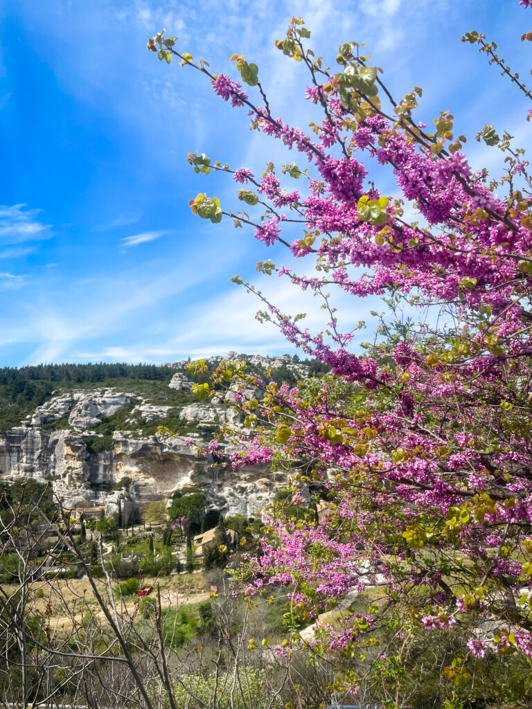 Les Alpilles Reli