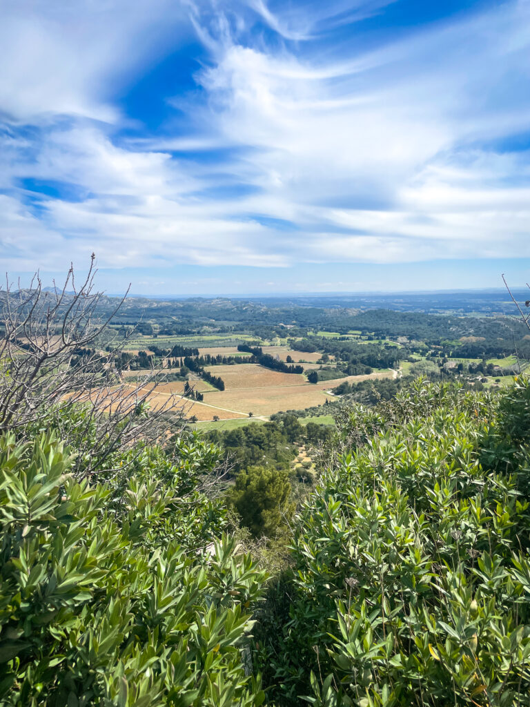 Les Alpilles Reli