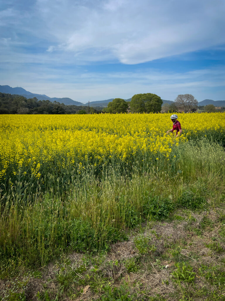 Fietsen in Girona